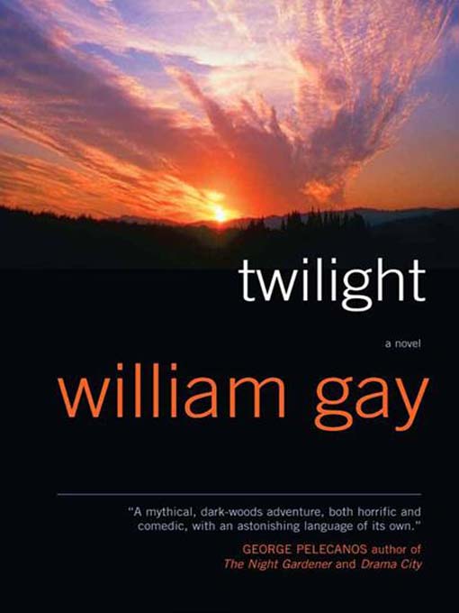 Twilight (eBook)